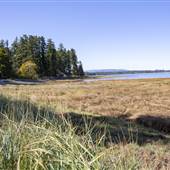 Mud Bay Tidal Flats