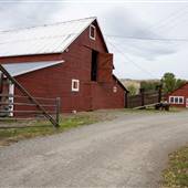 DLR Q Homestead Ranch