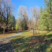Coal Creek Historic Park