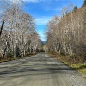Tahsis Highway