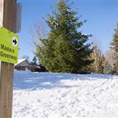 Masters Greenway and Wildlife Corridor