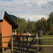 Hazelton Agricultural