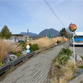 Downtown Tofino #4