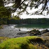 Terrace Beach