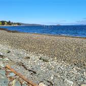 Myron Road Beach