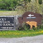 Rocky Mountain Buffalo Ranch