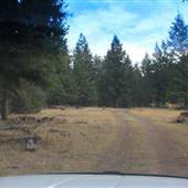Maiden Creek Ranch Road & Forest