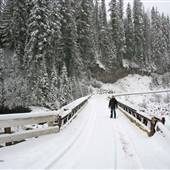 Mushbowl Bridge over Murtle River Rapids WINTER