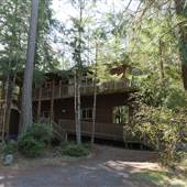 The Haven (Pheonix Auditorium)