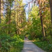 Stanley Park - Tatlow Walk