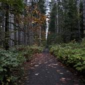 Beaver Lodge Lands (South Entrance)