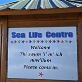 Oyster Bay Sealife Centre