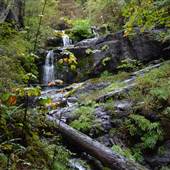Cold Creek Waterfalls - from Log Train Trail Regional Park