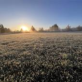 Woodcote Park with FROST