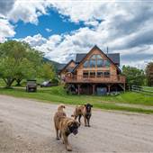Chase Creek Eventing Equestrian Centre - Summer