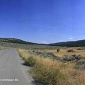 Barnes Lake Road - Desert to Forest Section