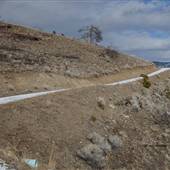 Upper Sabiston Creek Road to Kamloops Lake - Arid WINTER