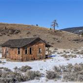 Palomino Ridge Rustic Cabin - February