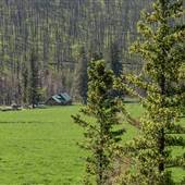 Scottie Creek Road and Burned Forest