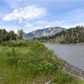 Henry Property along Fraser River - West Side