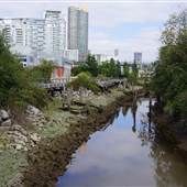 Sapperton Landing Park