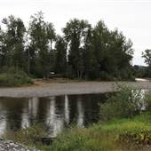 Horsefly Salmon Habitat Trail
