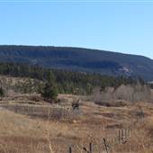 Highway 20 - Various Locations