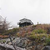 Hamilton Hill Forestry Lookout