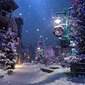 CHRISTMAS SEASON OKANAGAN REGION