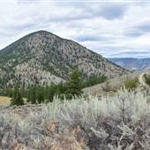 Rannie Pit Road 03 Log Cabin, Back Desert & Mountains