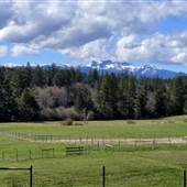 Northwest Bay Road Property