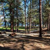 Monck Provincial Park on Nicola Lake