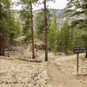 BEAVER DELL ROAD TRAILS