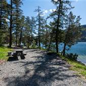 White Moose Resort on Loon Lake - Campground, Docks and Hillside