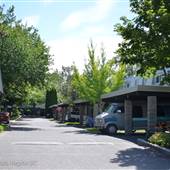 Shoreline Place - North and South Thompson Rivers Converge