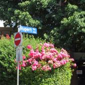 STREET - Rupert Terrace
