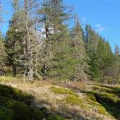 Loveland Bay Road Bluffs