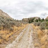 *Dallas Barnhartvale Nature Park FALL