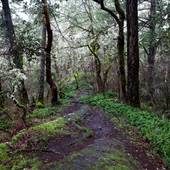 Gore Nature Park