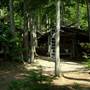 Narrows Village