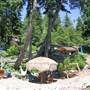 Jack Blair Property
