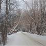 Blaeberry Valley Winter 2013