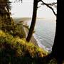 Agate Beach