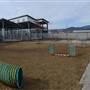 KELOWNA SPCA
