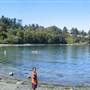 Arbutus Cove