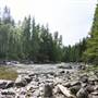Raft River plus Waterfalls and surrounding Forests (access to both sides)