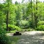 Quinsam Campsite