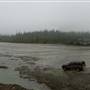 Bamfield Airstrip