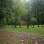 Sayward Cemetery