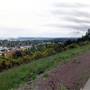 Nanaimo Parkway